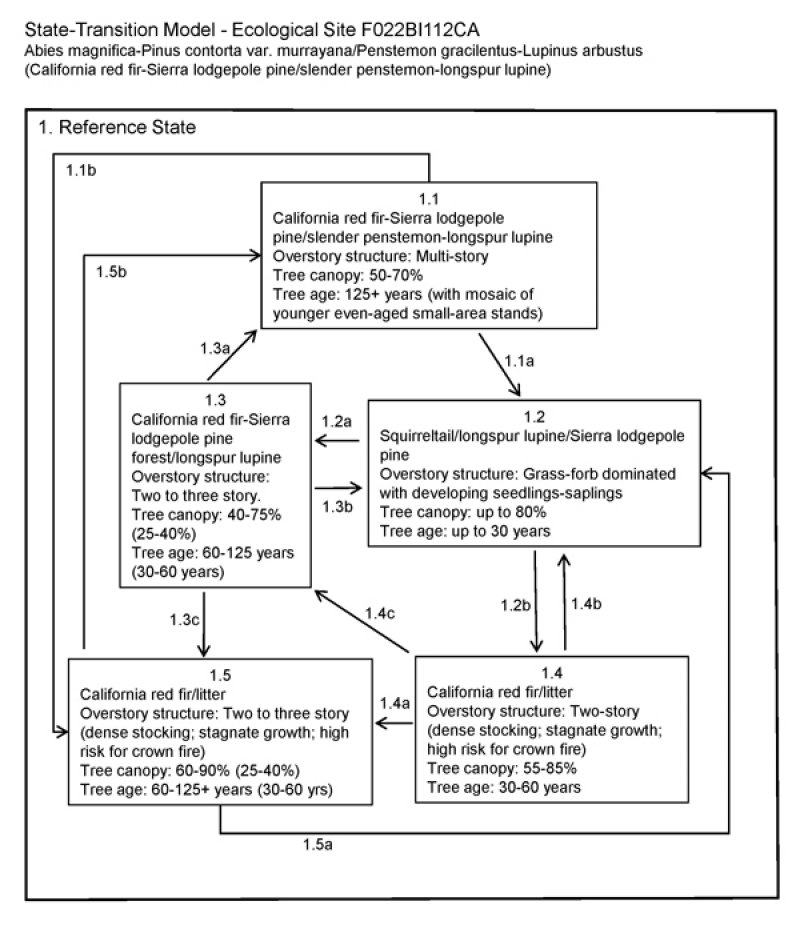 Model diagram