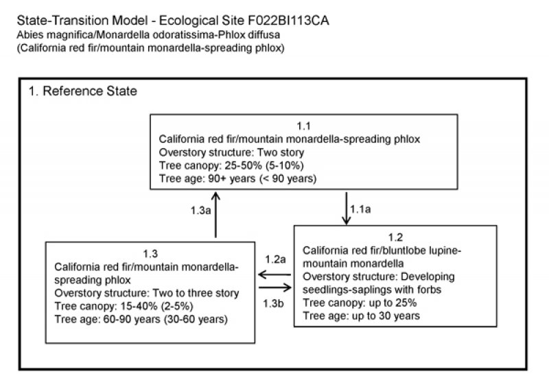 Model diagram