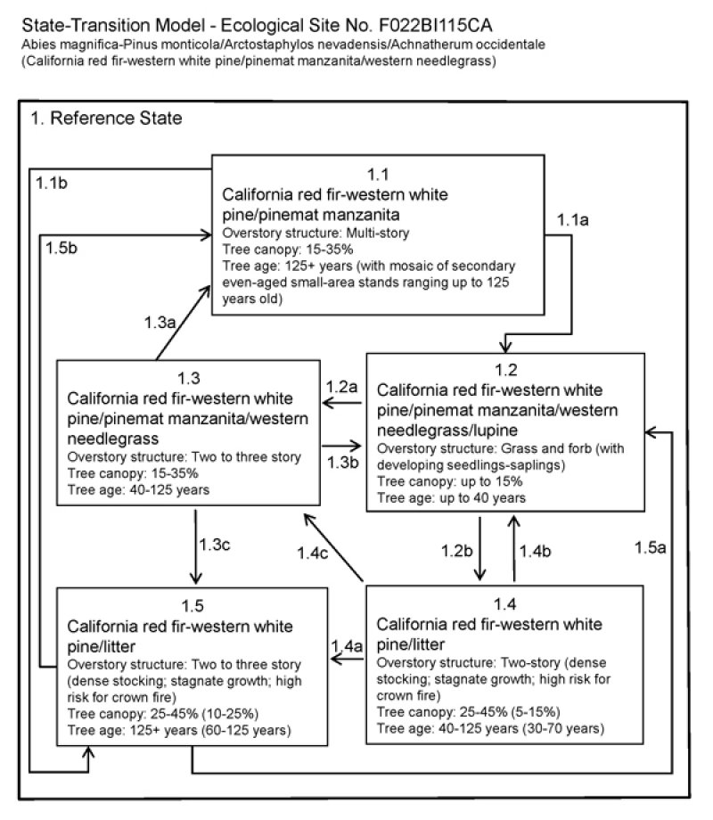 Model diagram