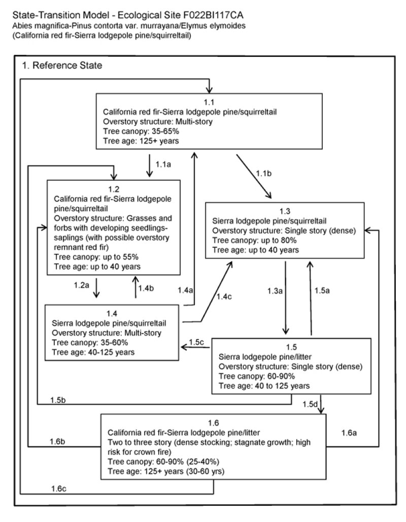 Model diagram