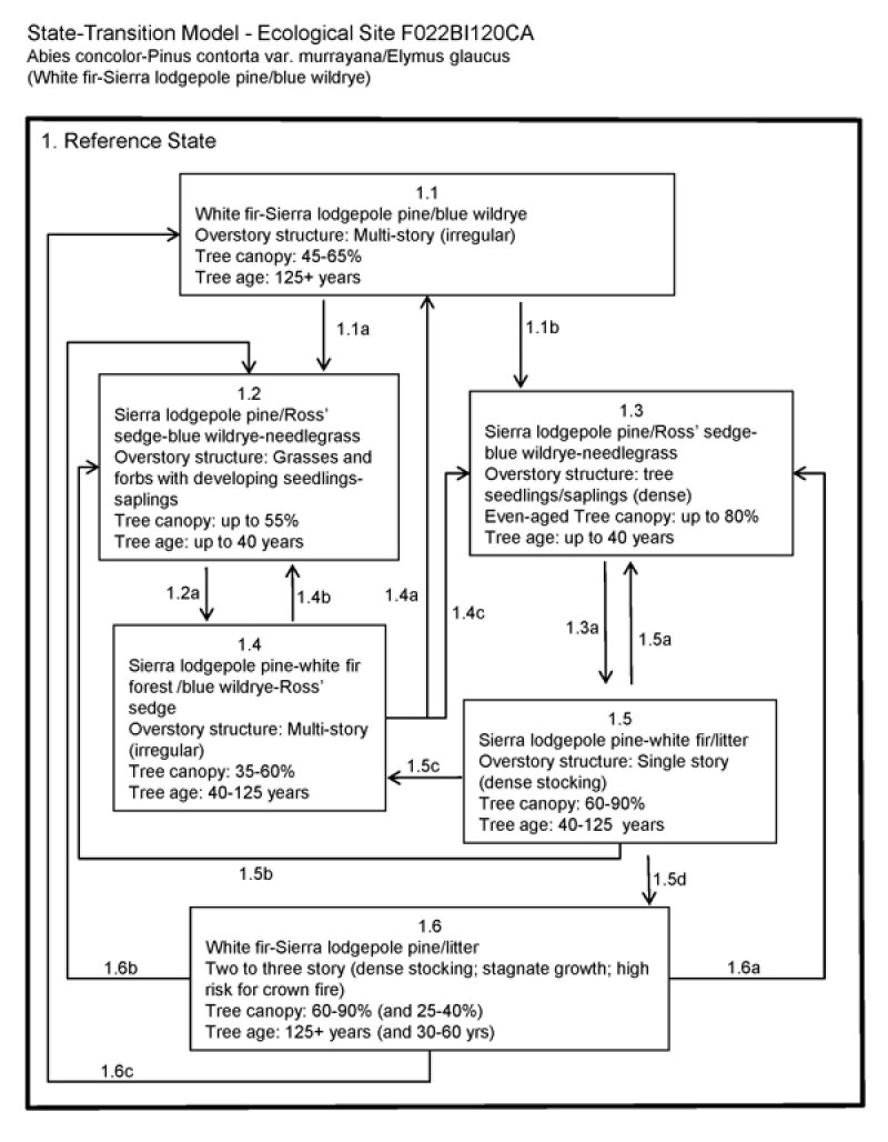 Model diagram