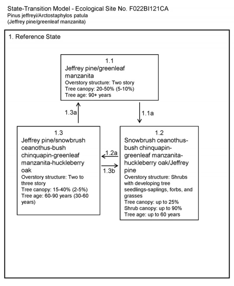 Model diagram