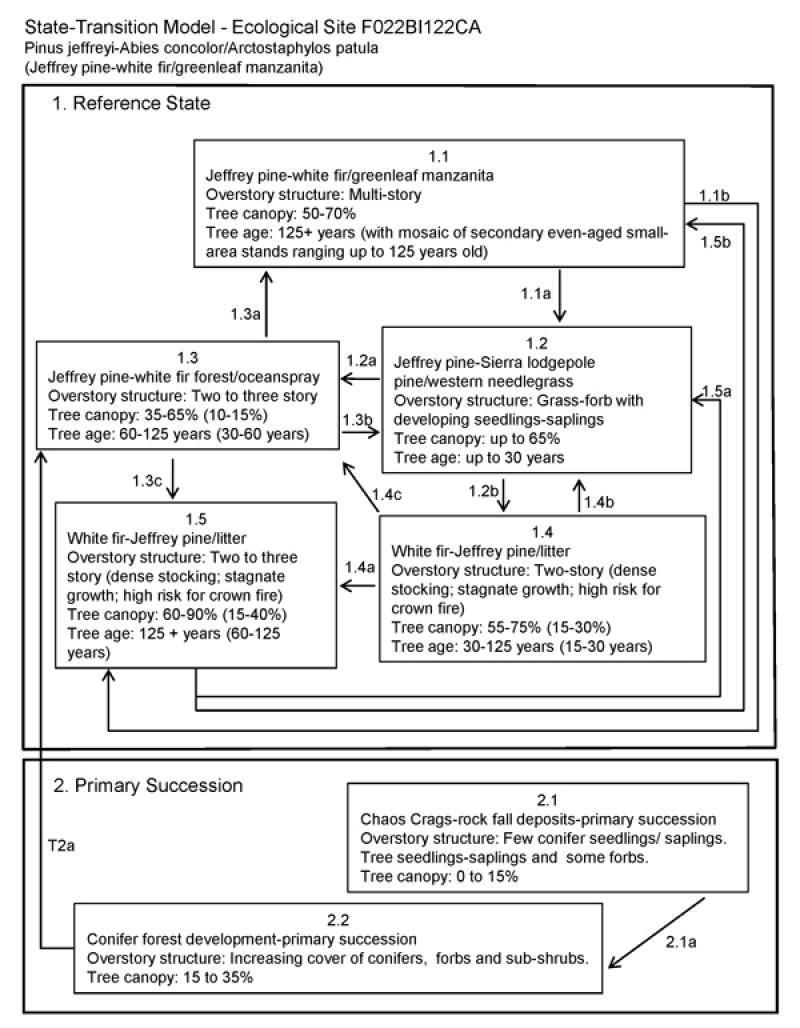 Model diagram