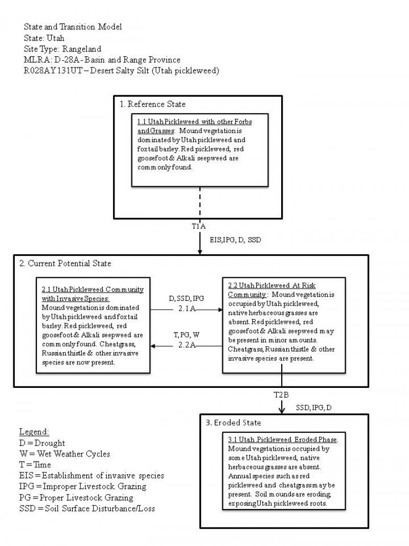 Model diagram