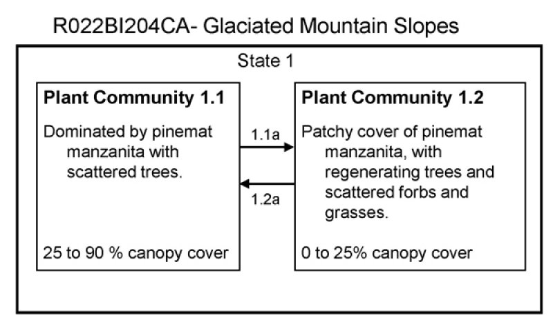 Model diagram