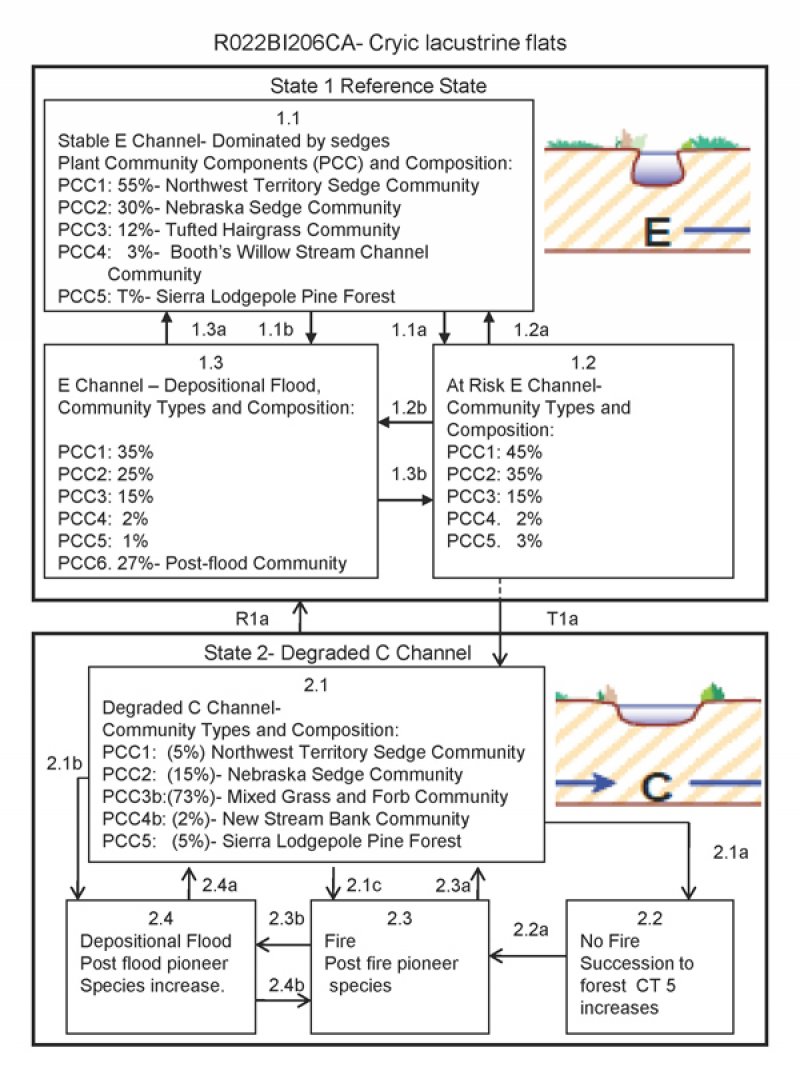 Model diagram