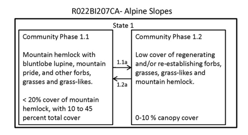 Model diagram