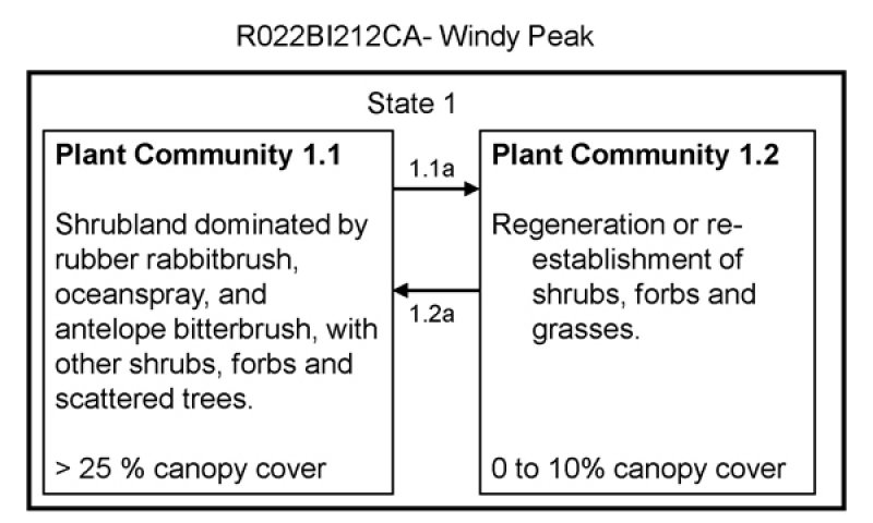Model diagram