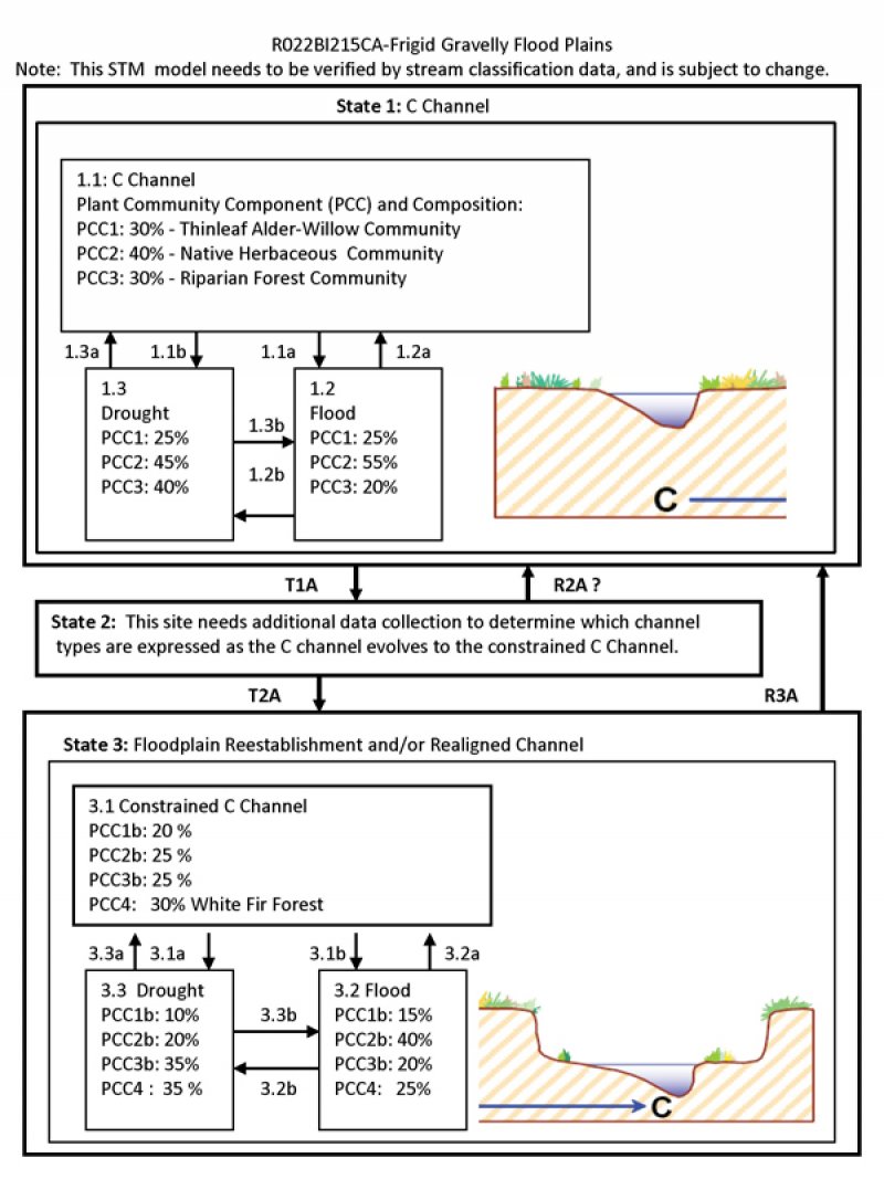 Model diagram