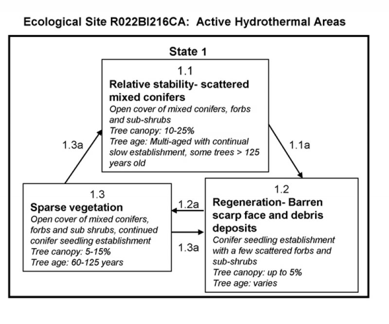 Model diagram