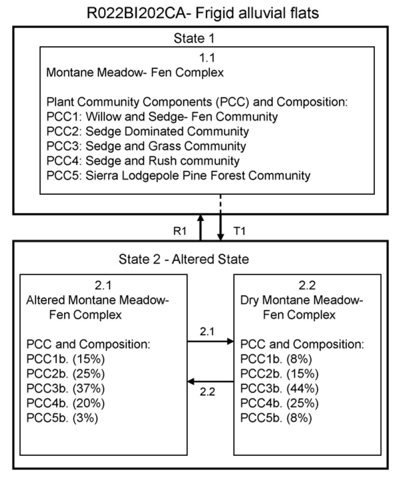 Model diagram