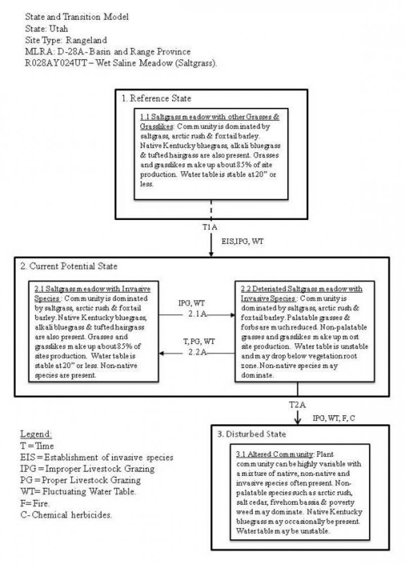 Model diagram