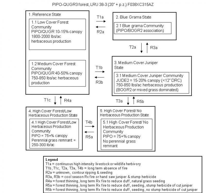 Model diagram