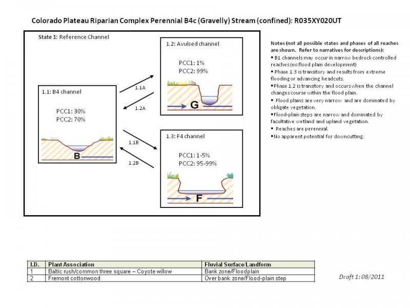 Model diagram