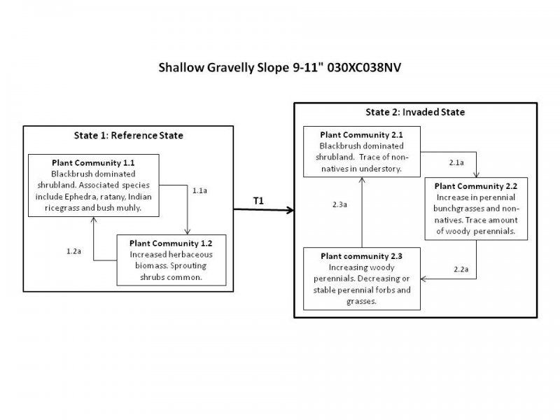 Model diagram