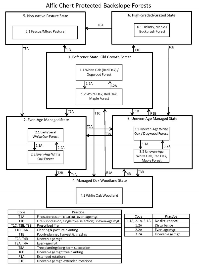 Model diagram