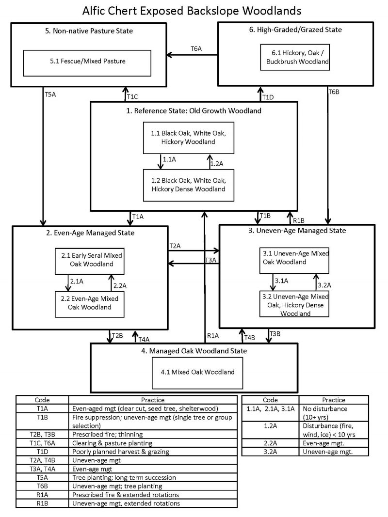 Model diagram