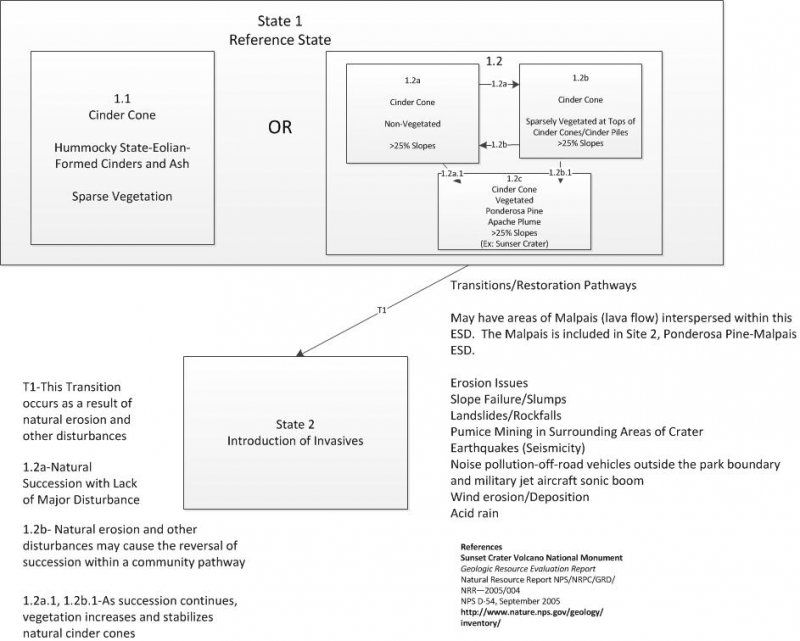 Model diagram