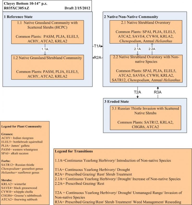 Model diagram
