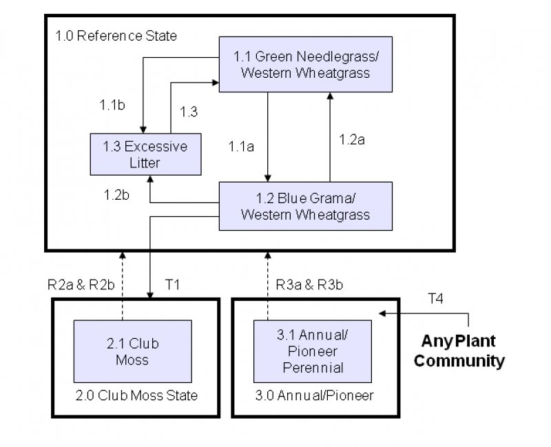 Model diagram