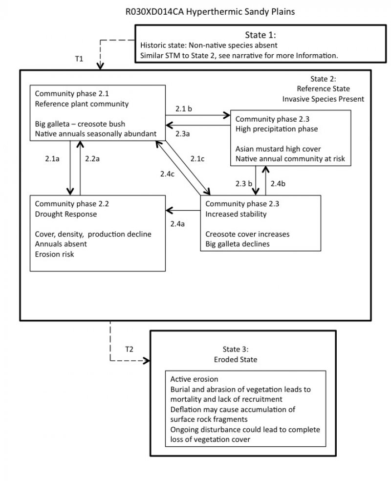 Model diagram