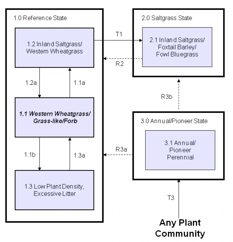 Model diagram