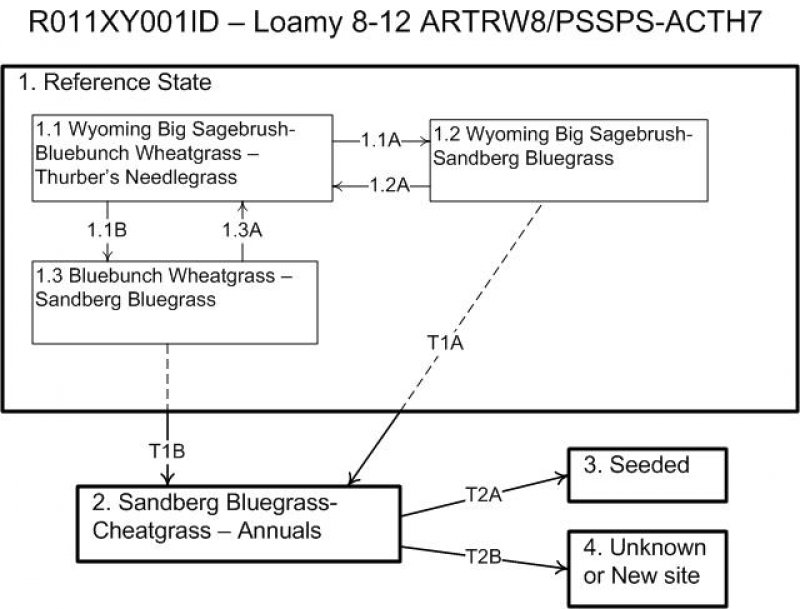 Model diagram