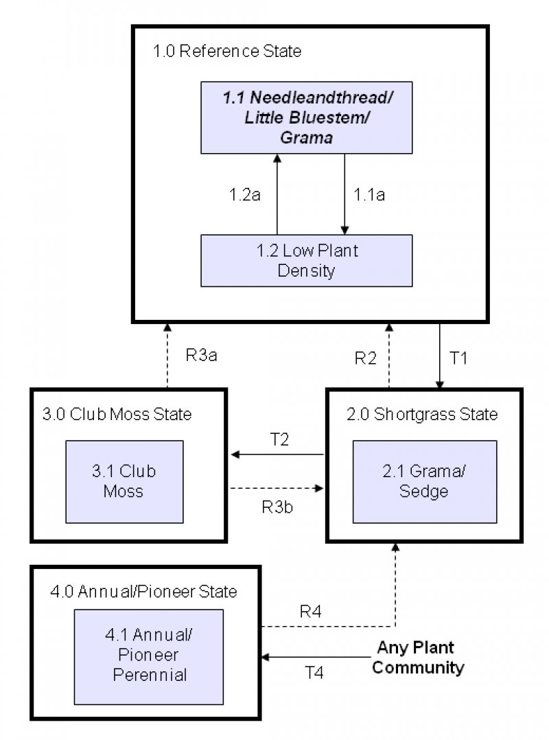 Model diagram