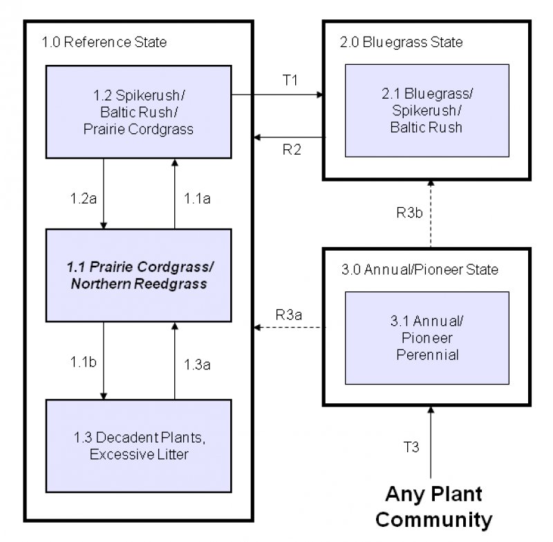 Model diagram