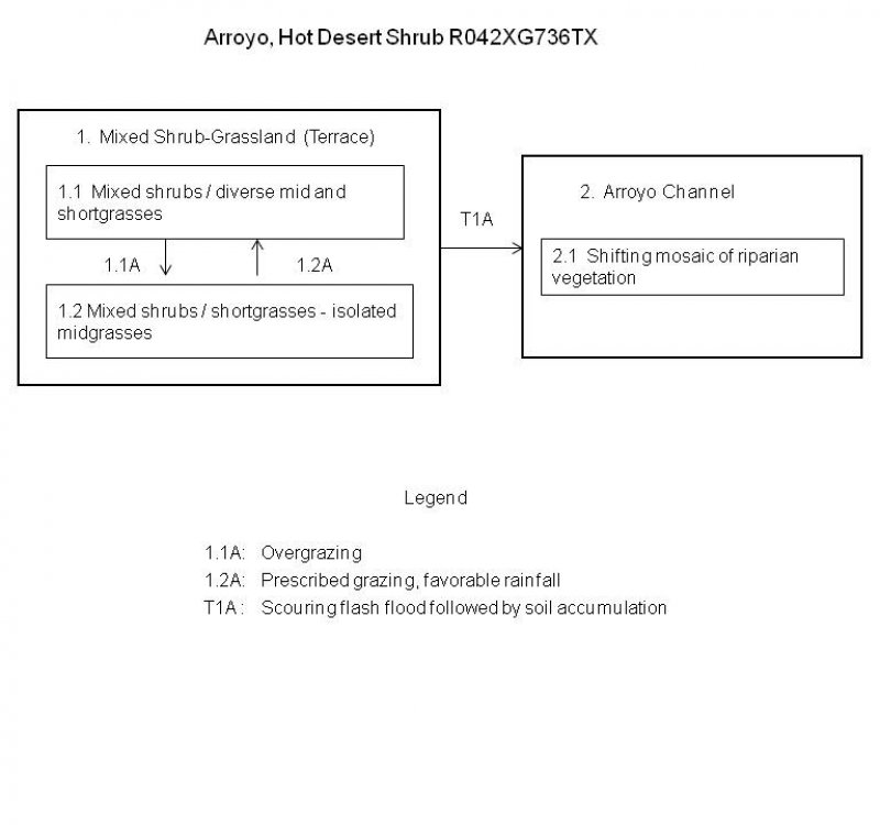Model diagram