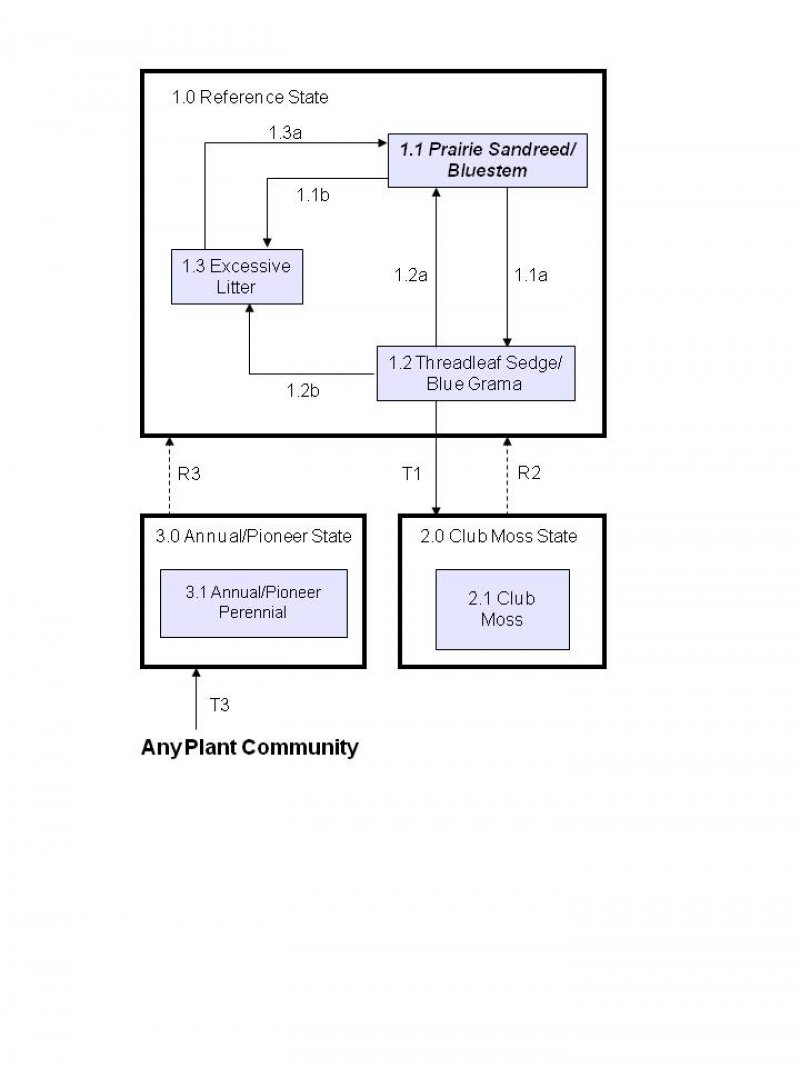 Model diagram