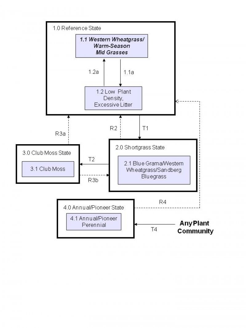 Model diagram