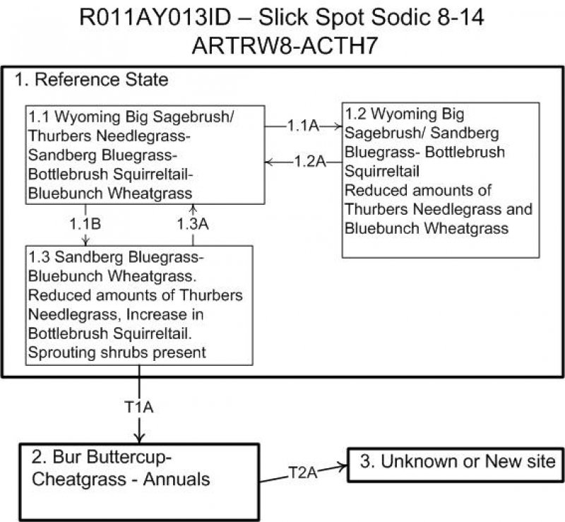 Model diagram