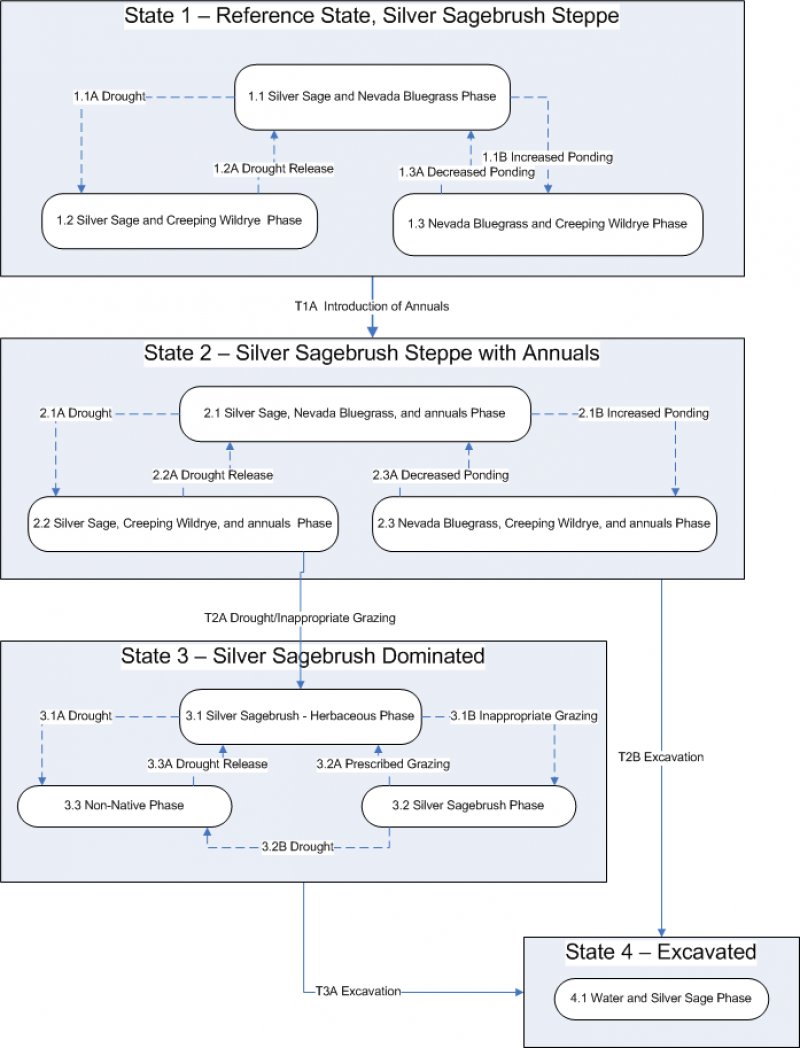 Model diagram