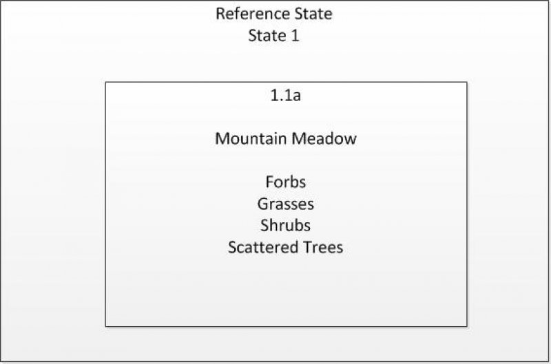 Model diagram