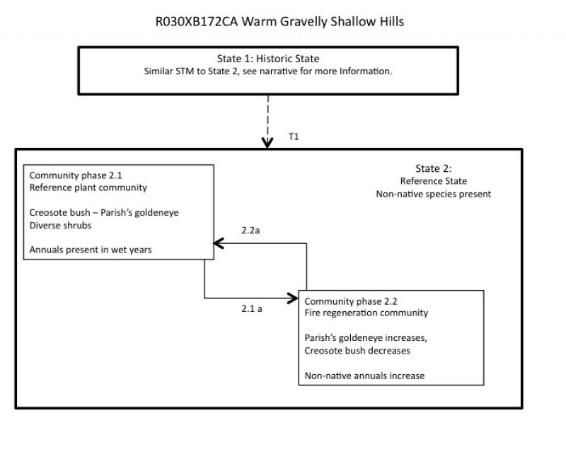 Model diagram