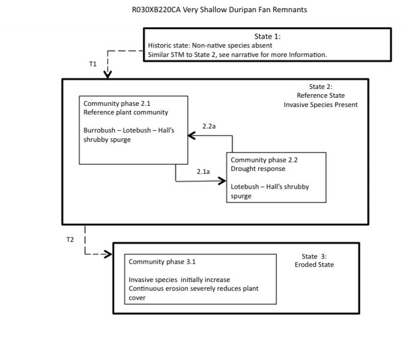 Model diagram