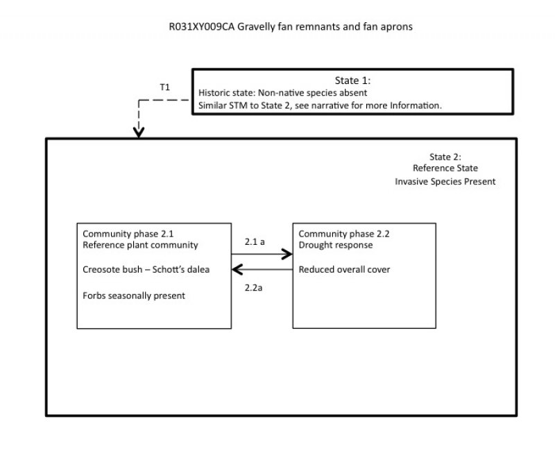 Model diagram
