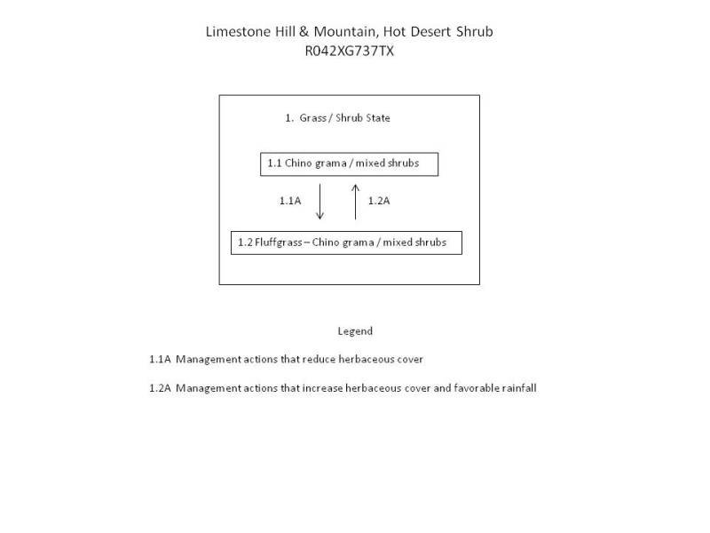 Model diagram