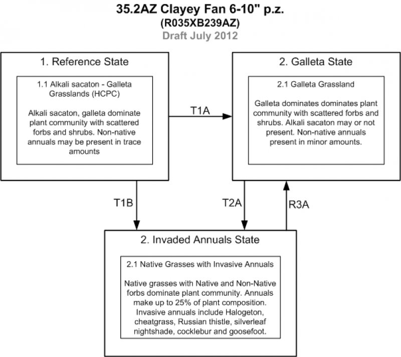Model diagram