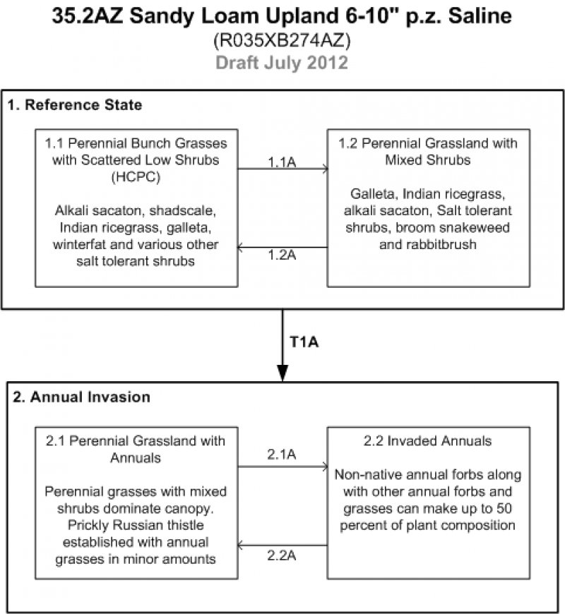 Model diagram
