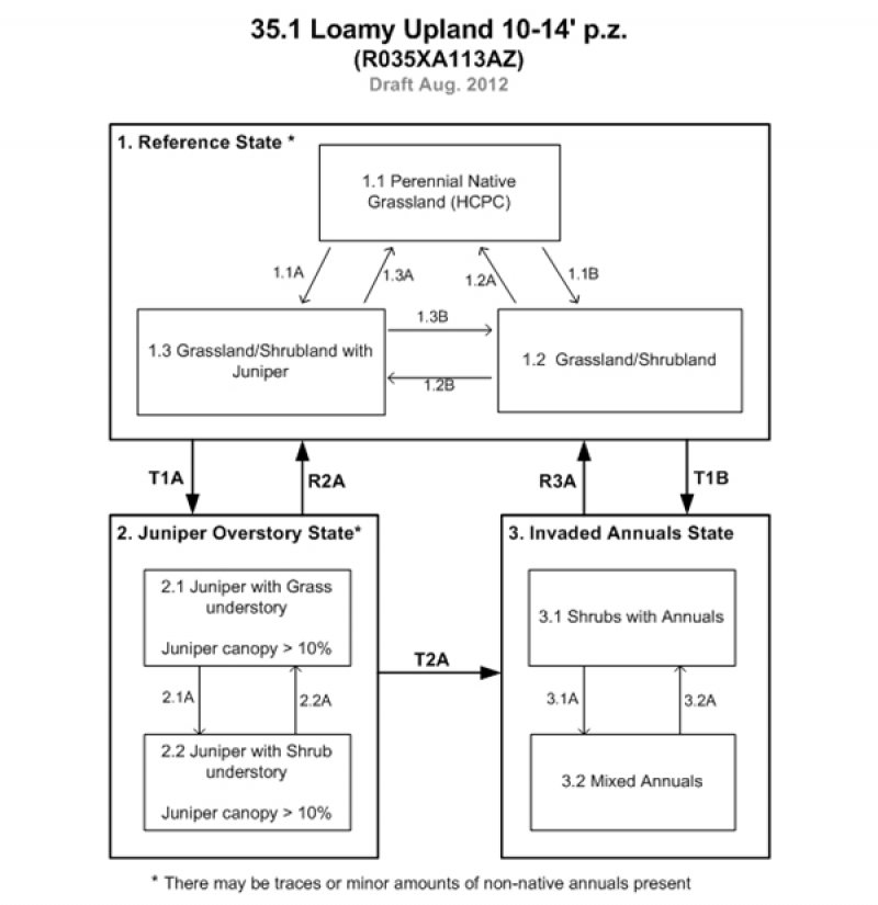 Model diagram