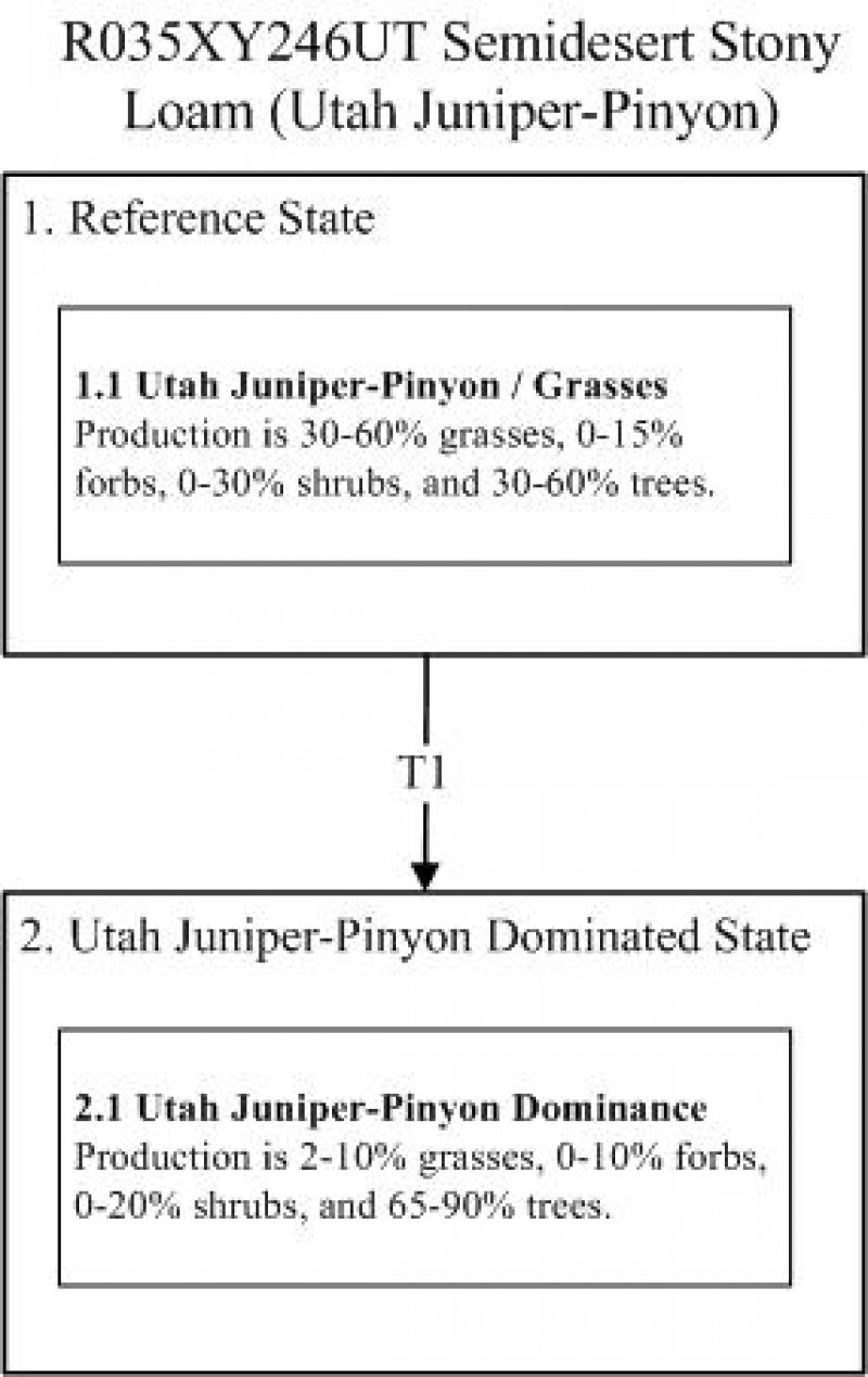 Model diagram