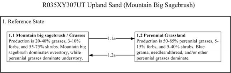 Model diagram