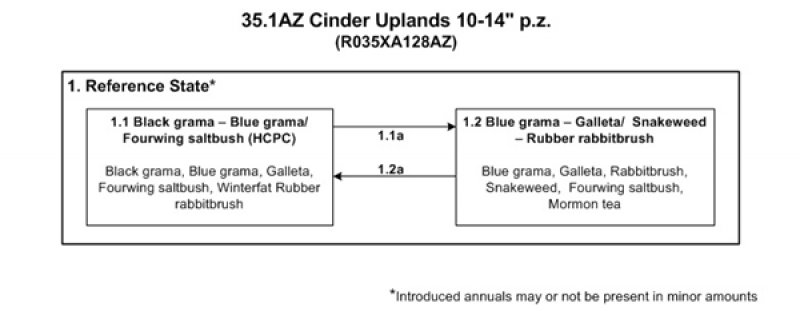 Model diagram