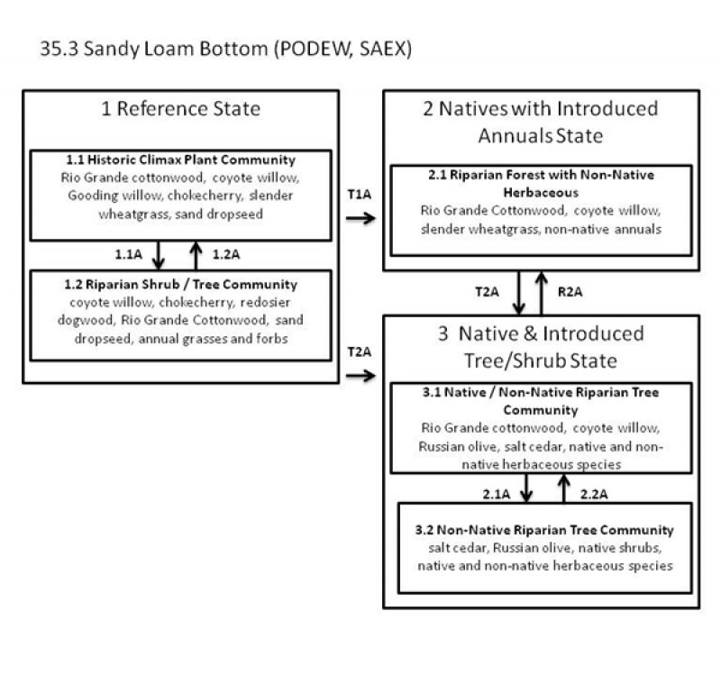 Model diagram