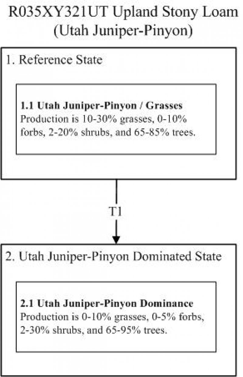 Model diagram