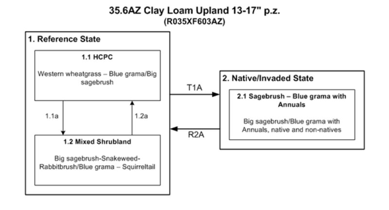 Model diagram
