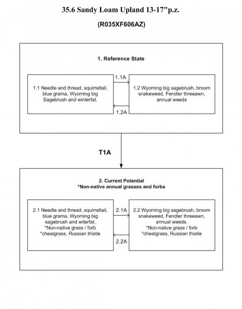 Model diagram