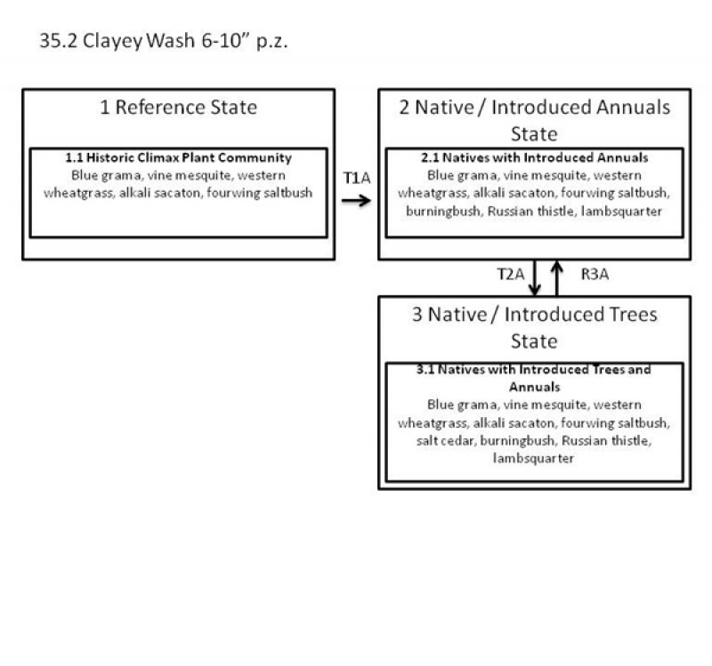 Model diagram